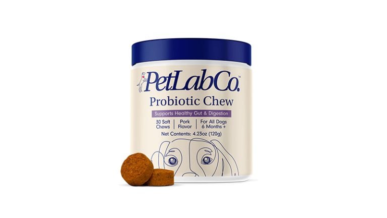 Probiotics for Dogs