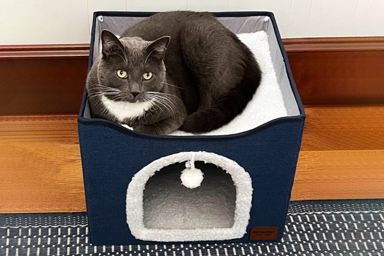 cat house