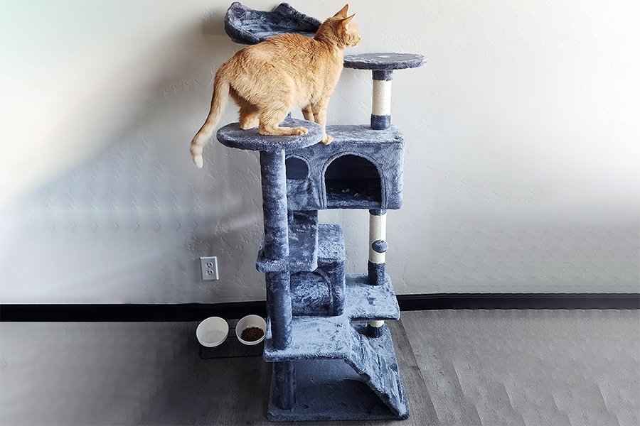 cat tree tower