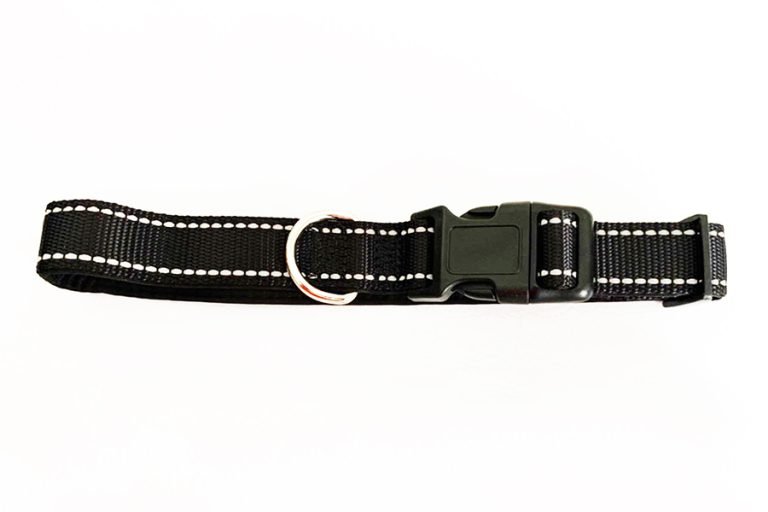 dog collar