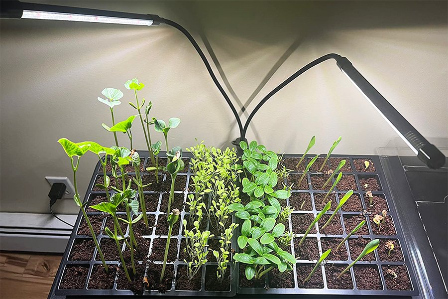 grow light for indoor