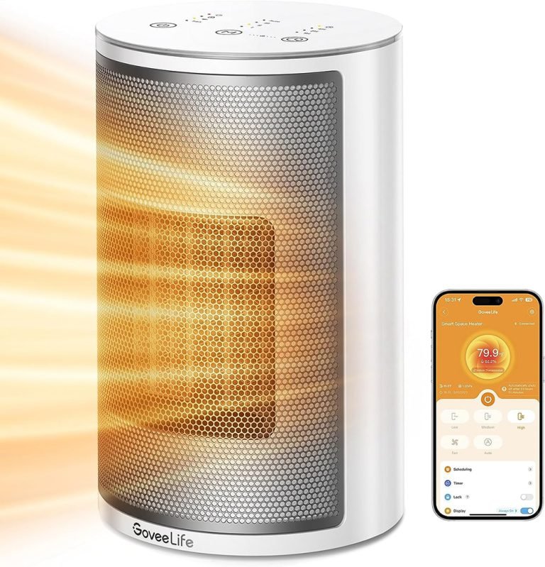 GoveeLife Smart Space Heater