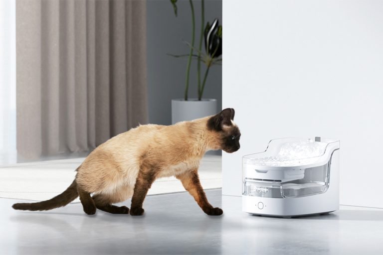 Petgugu 2L Cat Water Fountain